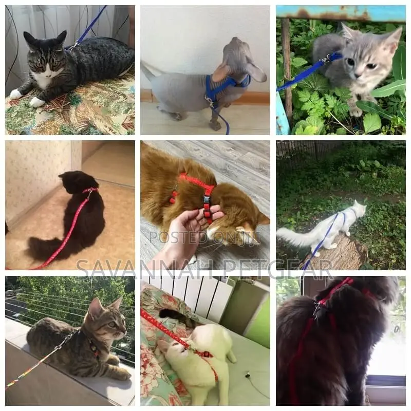 Adjustable Leash Harness Set for Cats