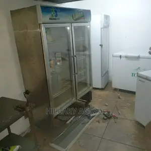 Fridge Repair Services