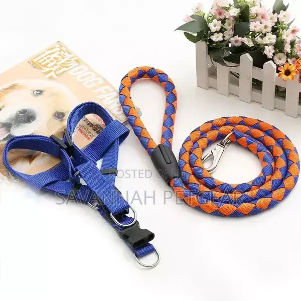 3 in 1 Nylon Leash Dog Strap Harness Set Step in Dog Harness
