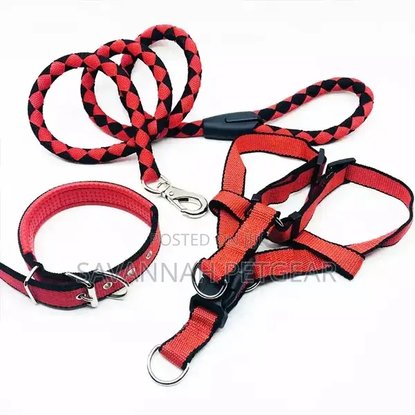 3 in 1 Nylon Leash Dog Strap Harness Set Step in Dog Harness