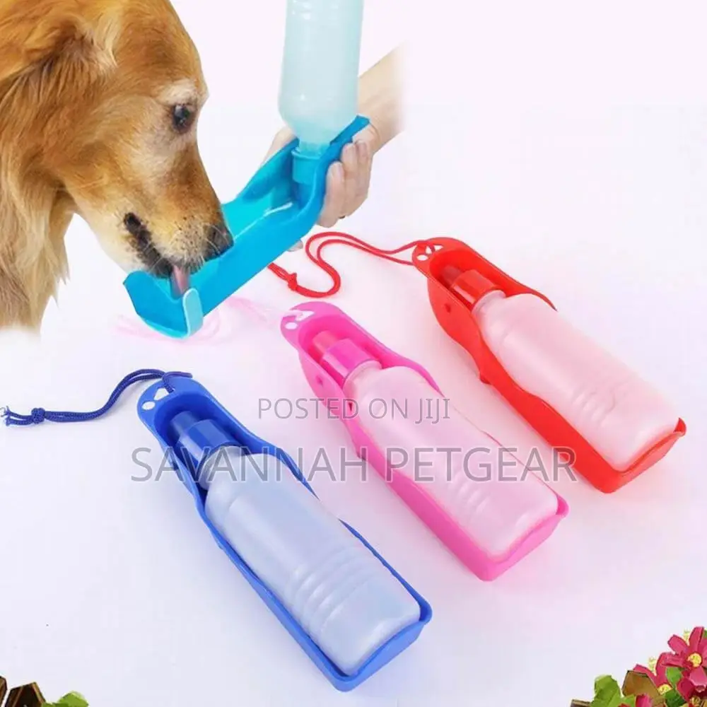 Foldable Outdoor Dog Water Bottle