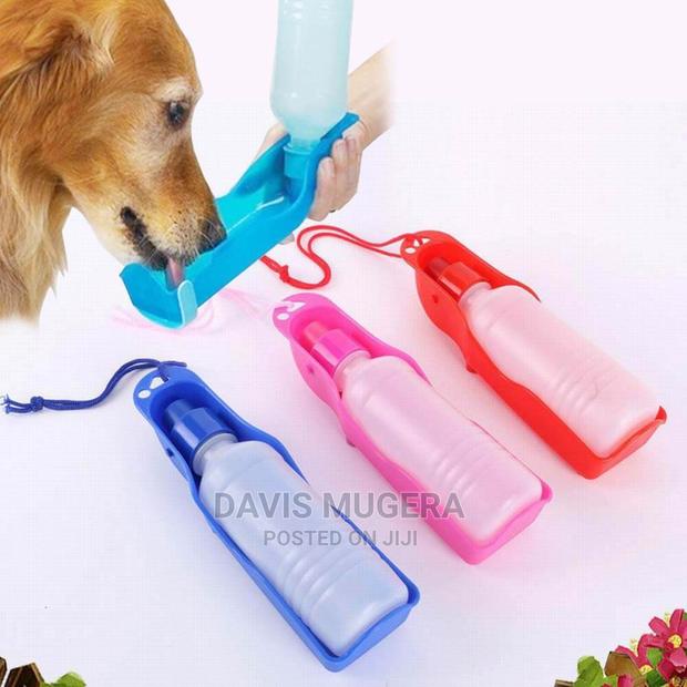 Foldable Outdoor Dog Water Bottle - main view