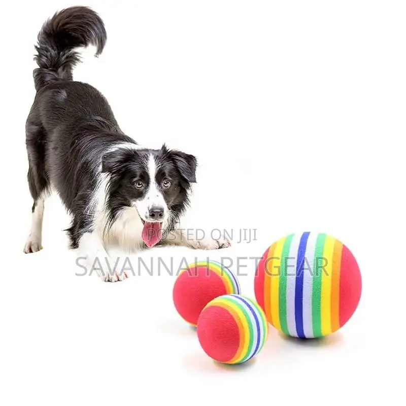 Rainbow Rubber Ball Toy for Dogs and Cats