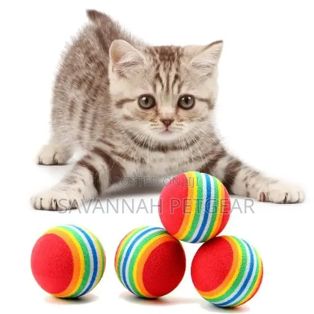 Rainbow Rubber Ball Toy for Dogs and Cats