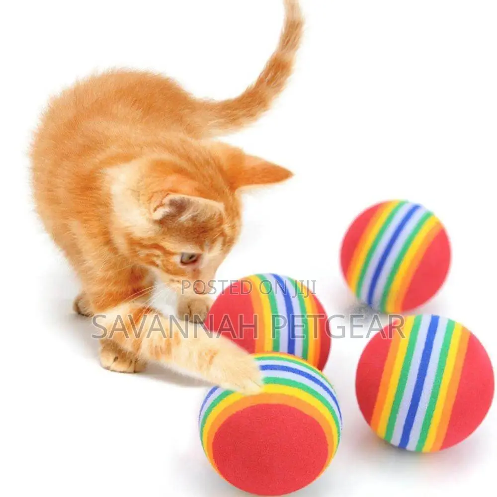 Rainbow Rubber Ball Toy for Dogs and Cats