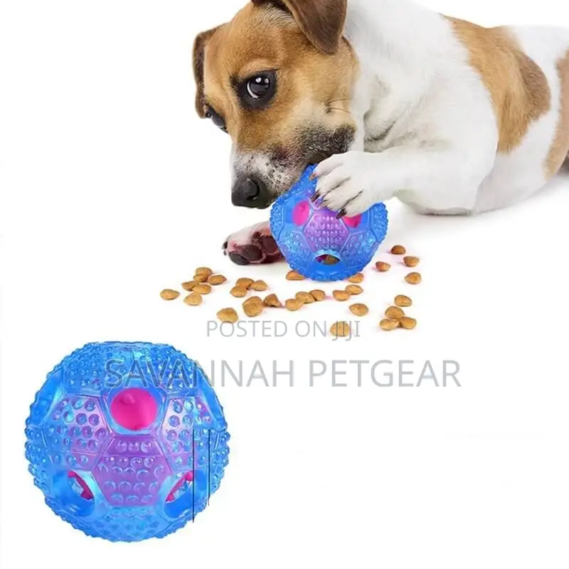 Interactive Treat Ball Teeth Cleaning Dog Throw Fetch Toy