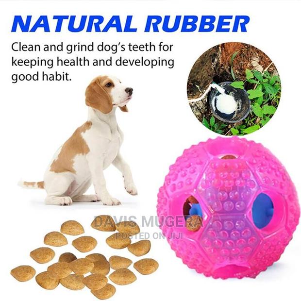 Interactive Treat Ball Teeth Cleaning Dog Throw Fetch Toy - thumbnail 3