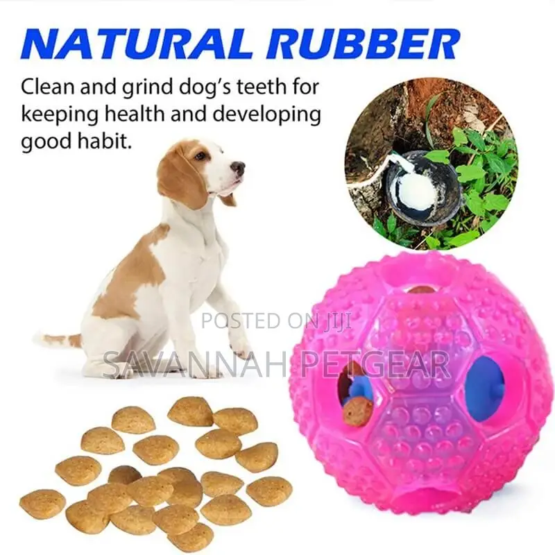 Interactive Treat Ball Teeth Cleaning Dog Throw Fetch Toy