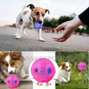 Interactive Treat Ball Teeth Cleaning Dog Throw Fetch Toy