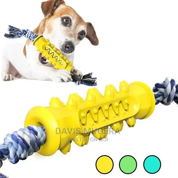 Durable Teeth Cleaning Toothbrush Dog Toy - main view