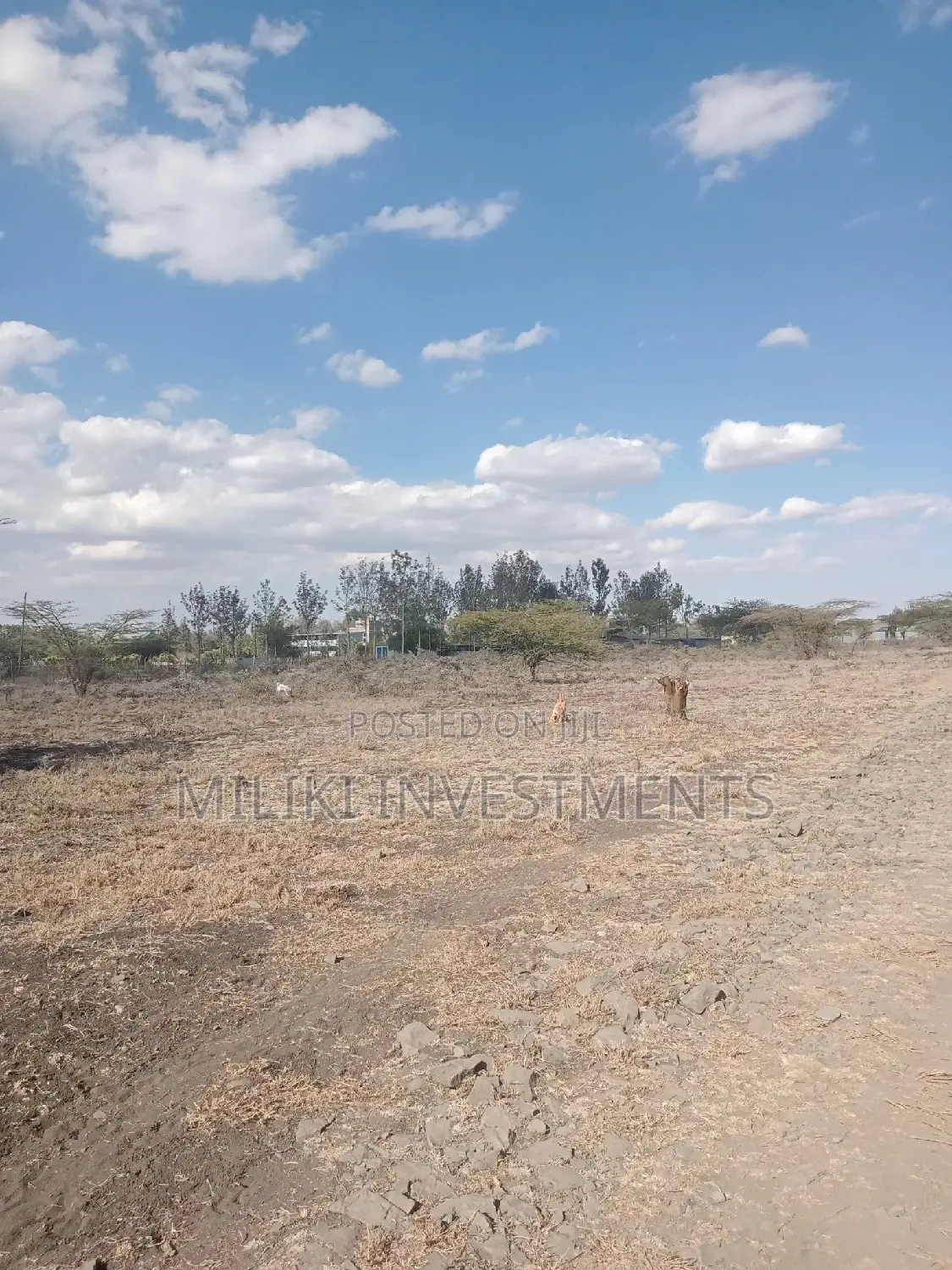 An Acre of Land on Sale at Kiserian
