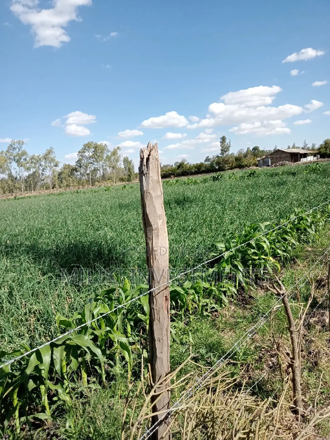 An Acre of Land on Sale at Kiserian