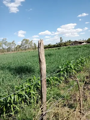 An Acre of Land on Sale at Kiserian