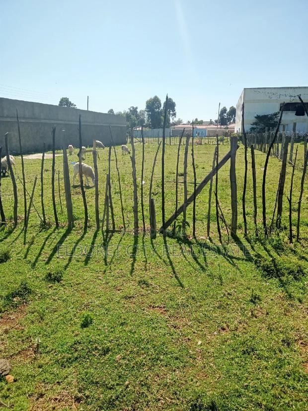 1/8 Plot Mti Moja Touching Tarmac - main view