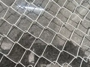 Chicken Mesh