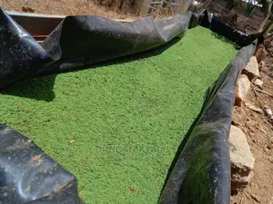 Azolla Poultry Feed and Azolla Propagation Material