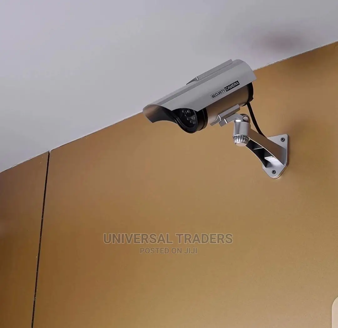 Dummy CCTV