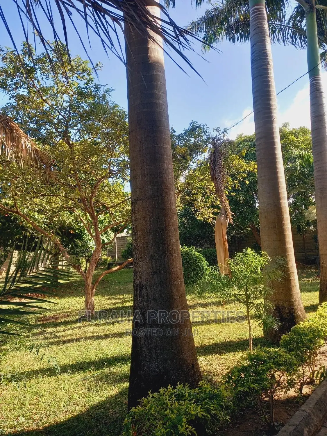 in Nyali for sale