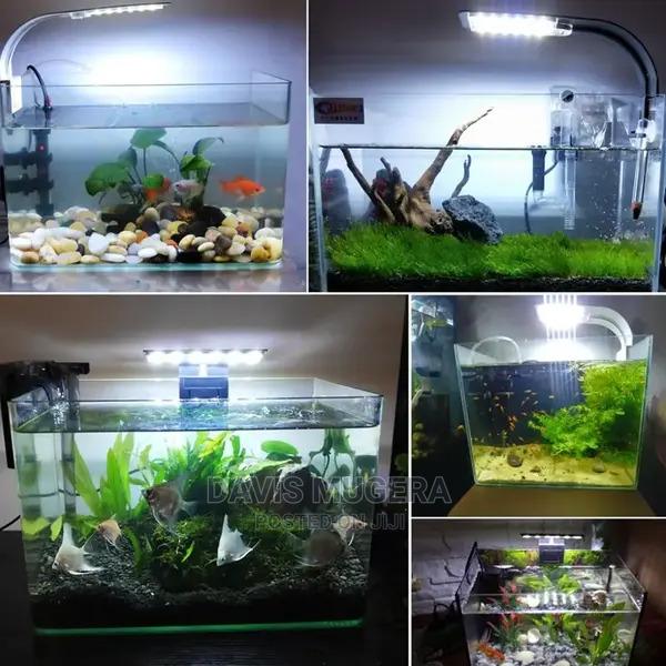Clip on Blue White LED Aquarium Light 32cm - thumbnail 3