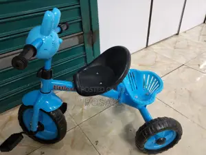 Blue Kids Tricycle