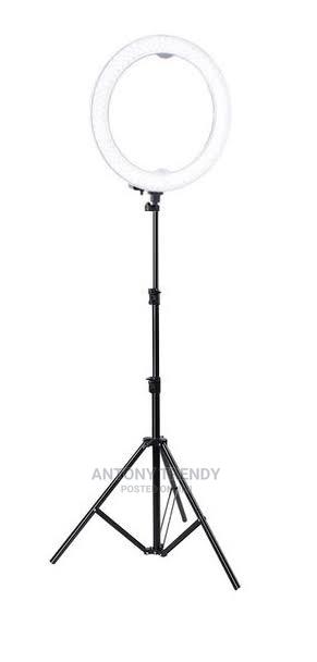 Brightness, Warm Light, White Light, Warm White - thumbnail 3