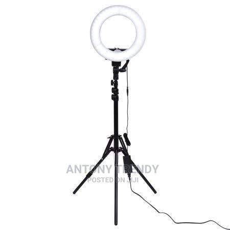 Brightness, Warm Light, White Light, Warm White - main view