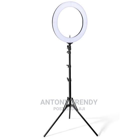 Brightness, Warm Light, White Light, Warm White - thumbnail 4