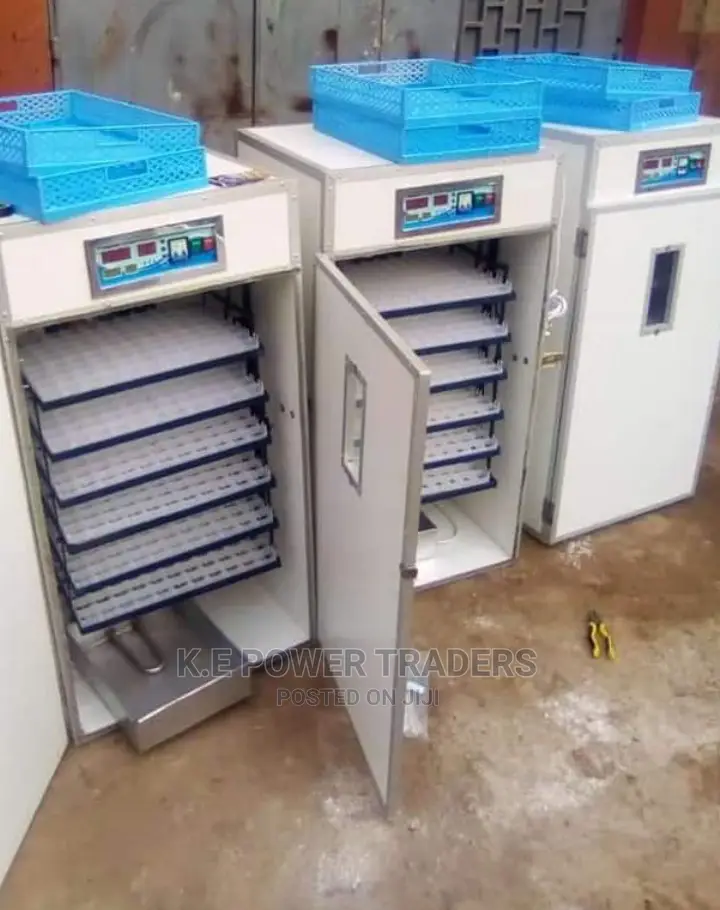 Birds 528 Egg Incubators