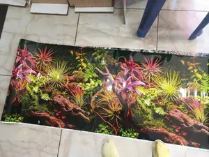 Planted Aquarium Background Paper