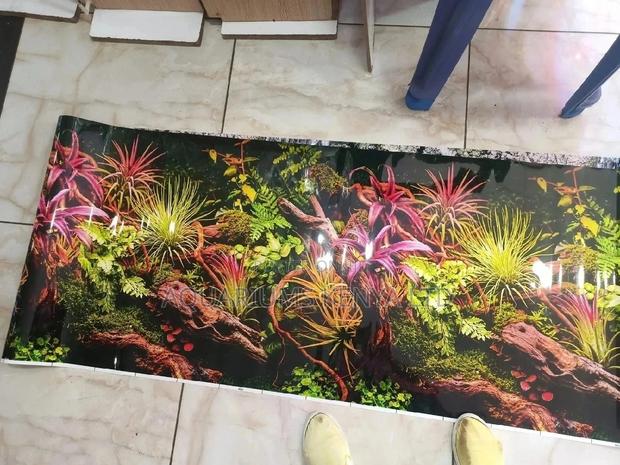Planted Aquarium Background Paper - main view