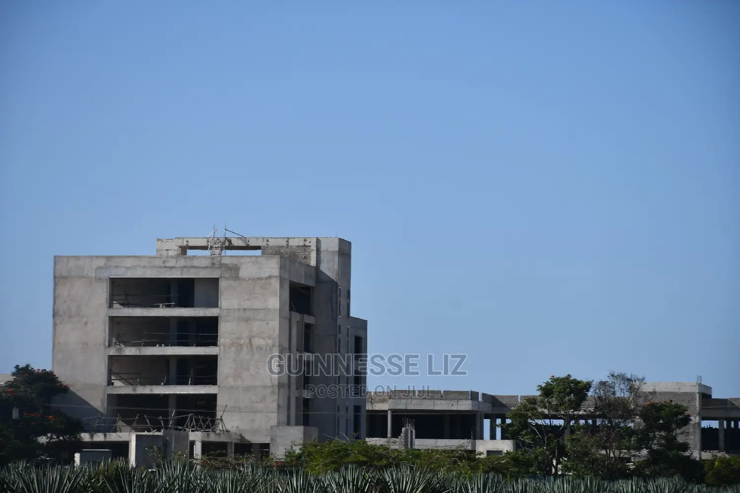 Vipingo Prime 2nd Row Beach Plots