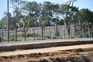 Vipingo Prime 2nd Row Beach Plots