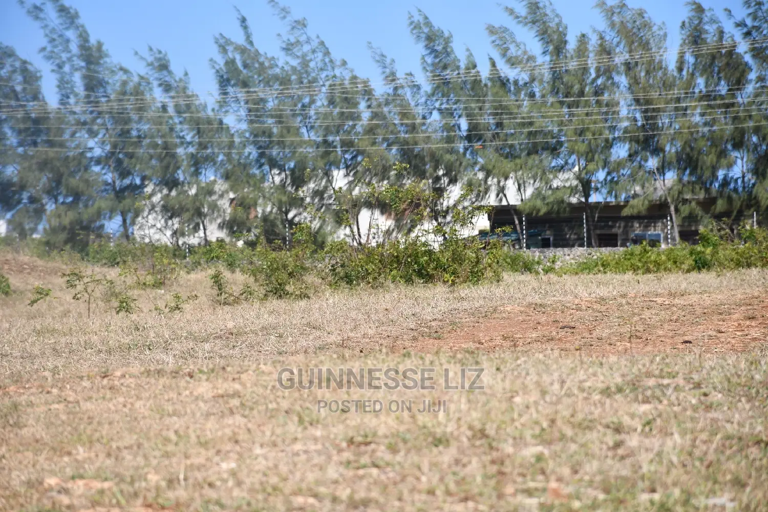 Vipingo Prime 2nd Row Beach Plots