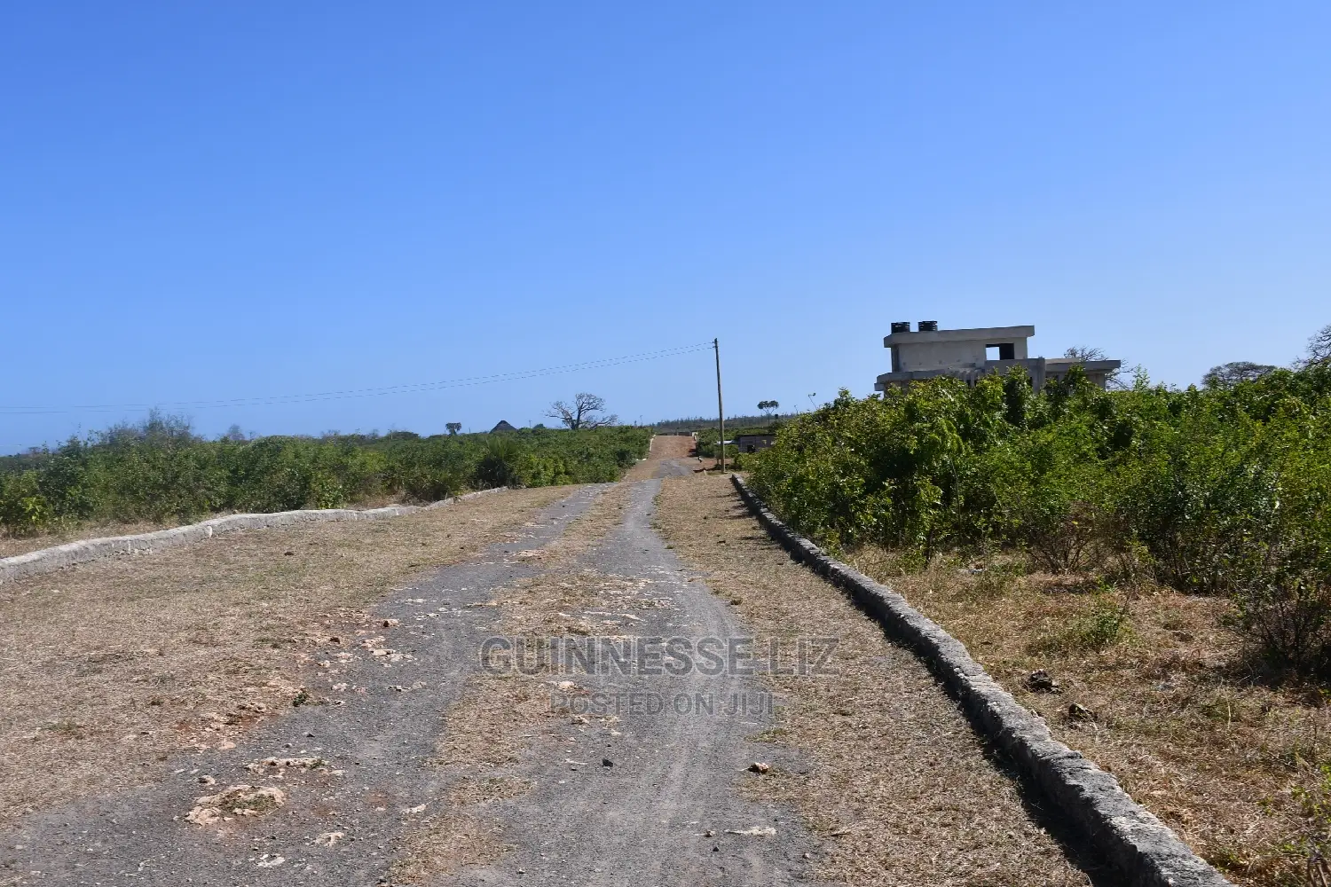 Vipingo Prime 2nd Row Beach Plots
