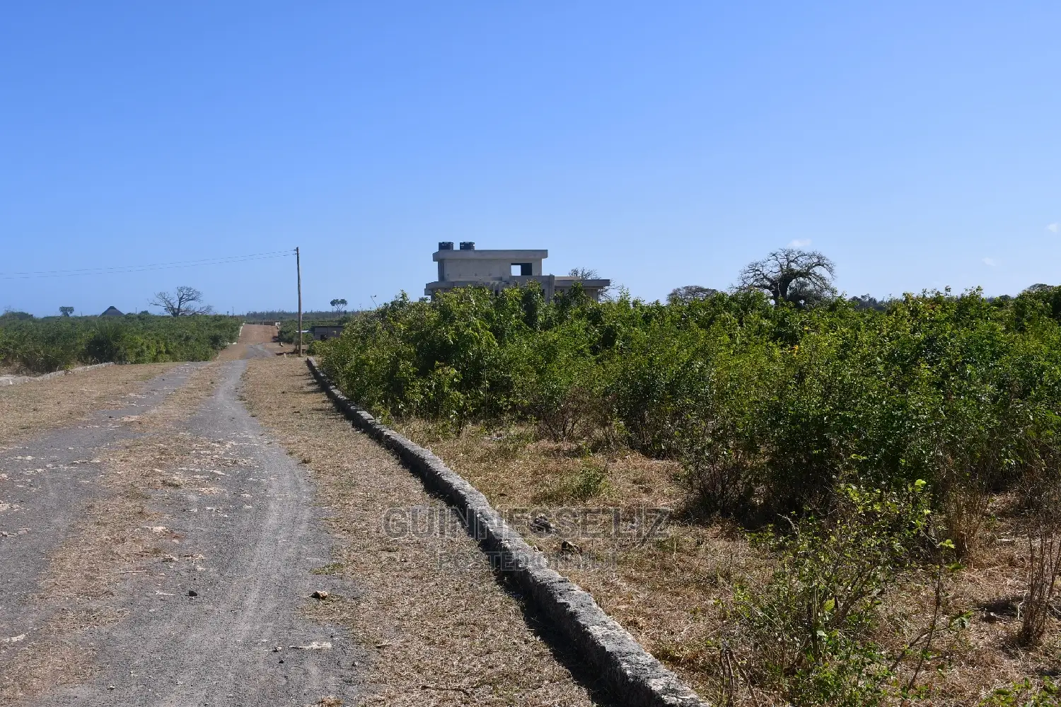 Vipingo Prime 2nd Row Beach Plots