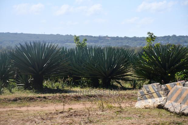 Vipingo Prime 2nd Row Beach Plots - thumbnail 10