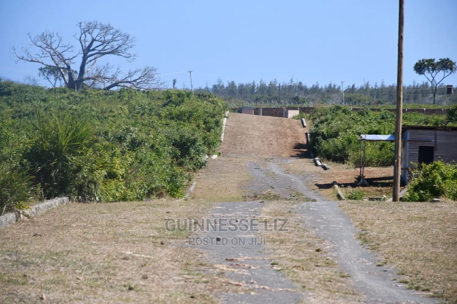 Vipingo Prime 2nd Row Beach Plots