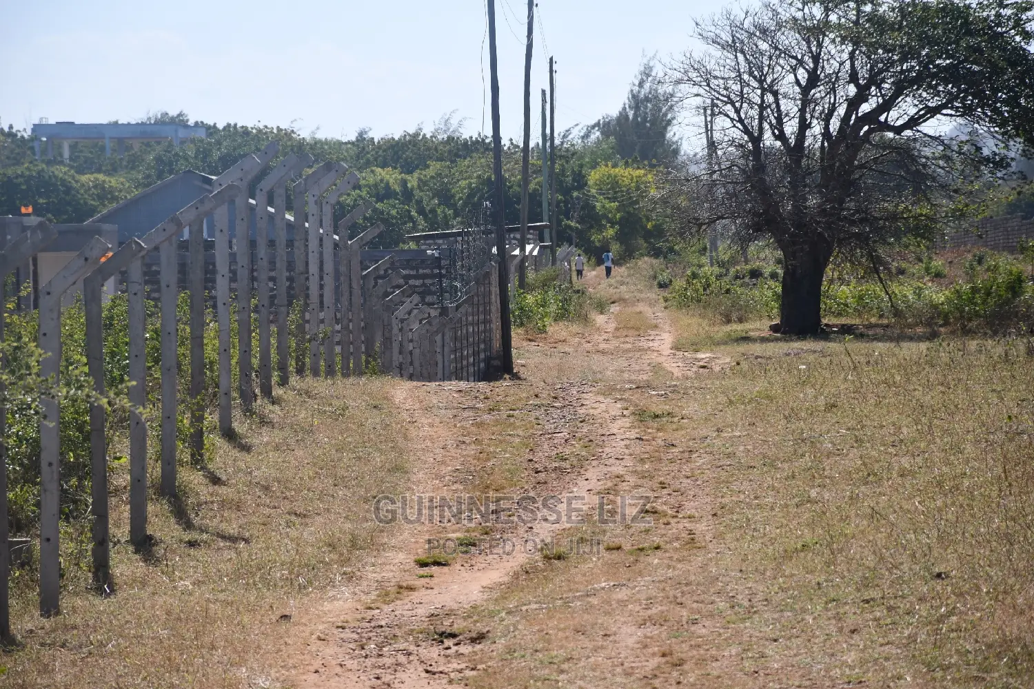 Vipingo Prime 2nd Row Beach Plots