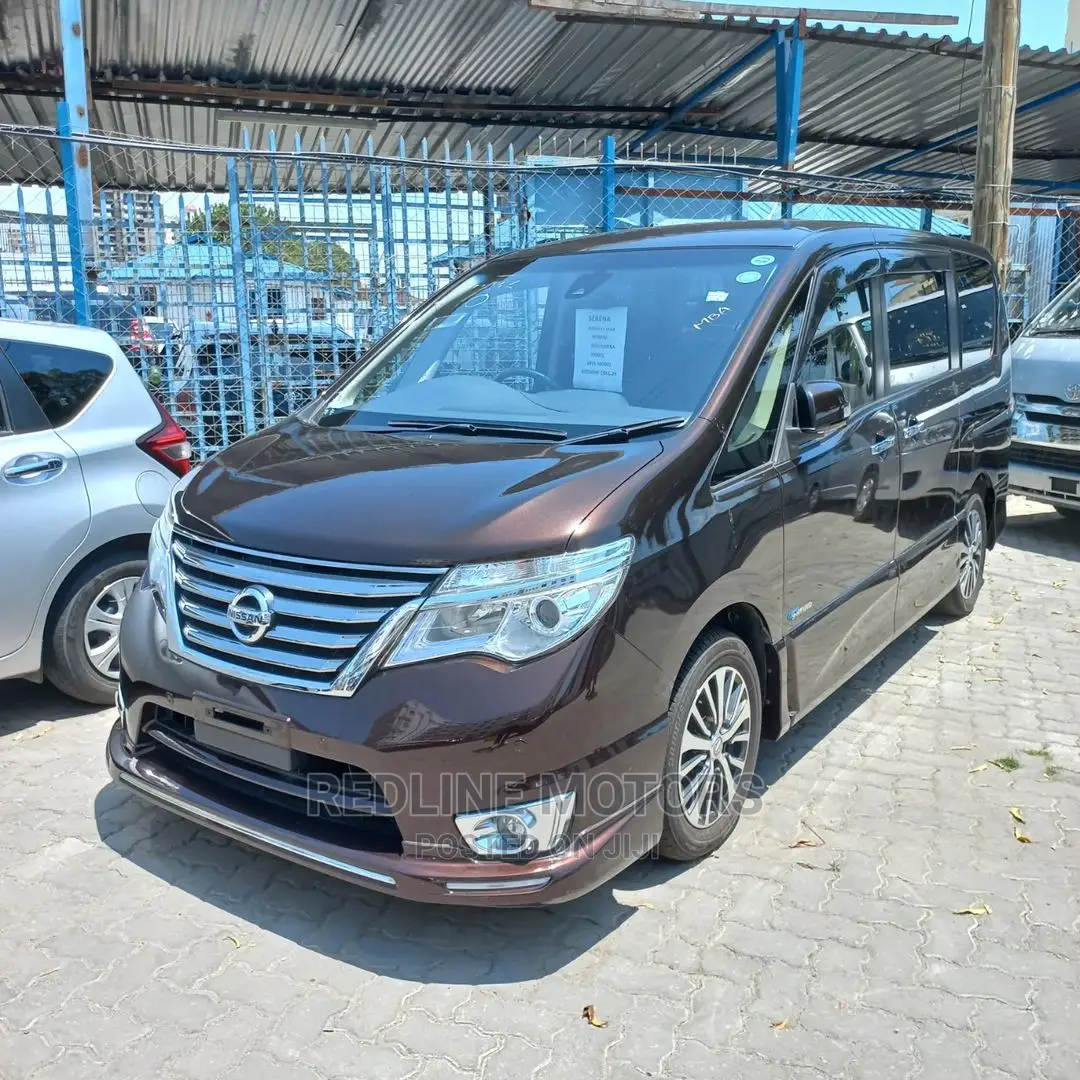 Nissan Serena 2017 Brown