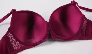Ladies Sexy Lace Bra