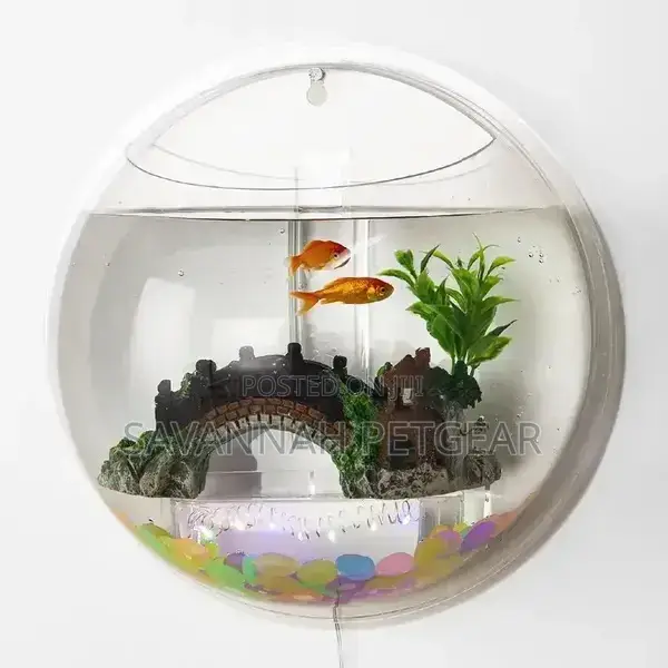 Wall Hanging Fish Bowl Aquarium, 33cm