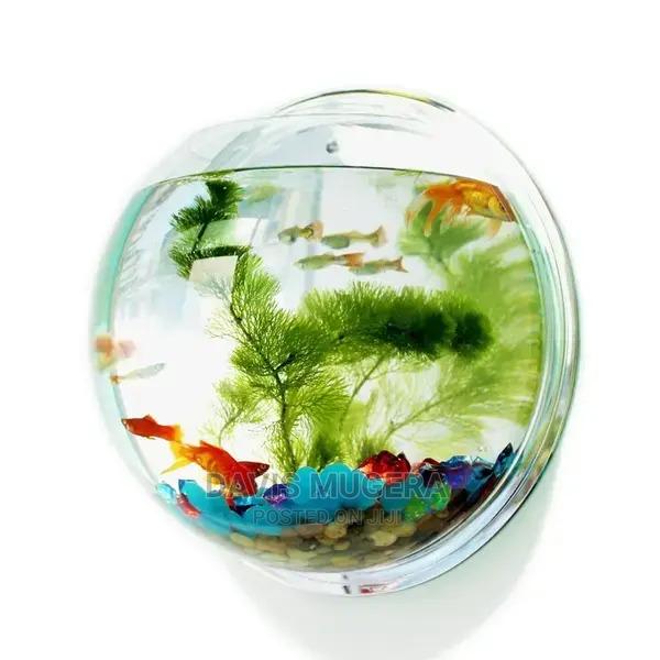 Wall Hanging Fish Bowl Aquarium, 33cm - thumbnail 4