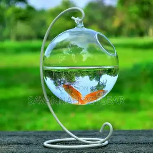 Hanging Glass Fish Bowl Aquarium Plant Vase