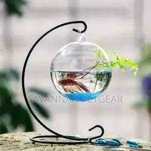 Hanging Glass Fish Bowl Aquarium Plant Vase