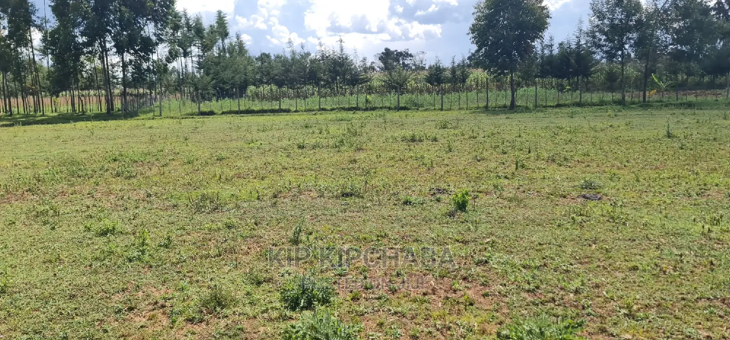 Several Plots for Sale in Cheplasgei Eldoret Bypass Eldoret