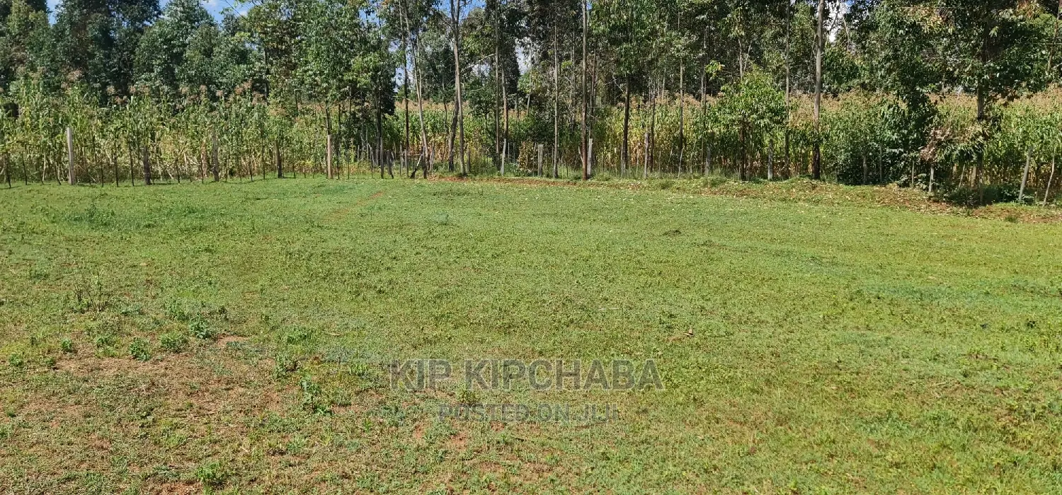 Several Plots for Sale in Cheplasgei Eldoret Bypass Eldoret