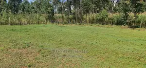 Several Plots for Sale in Cheplasgei Eldoret Bypass Eldoret