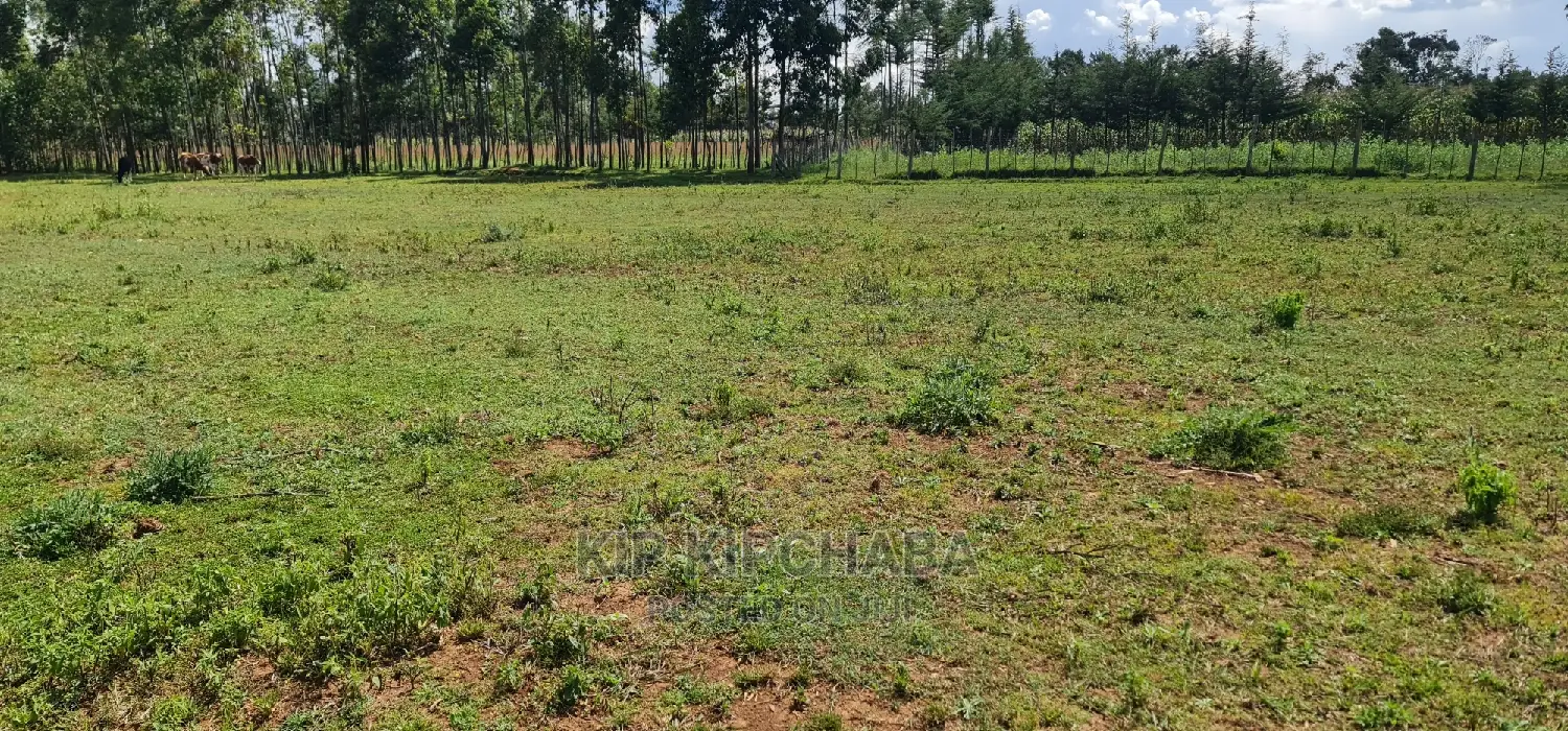 Several Plots for Sale in Cheplasgei Eldoret Bypass Eldoret
