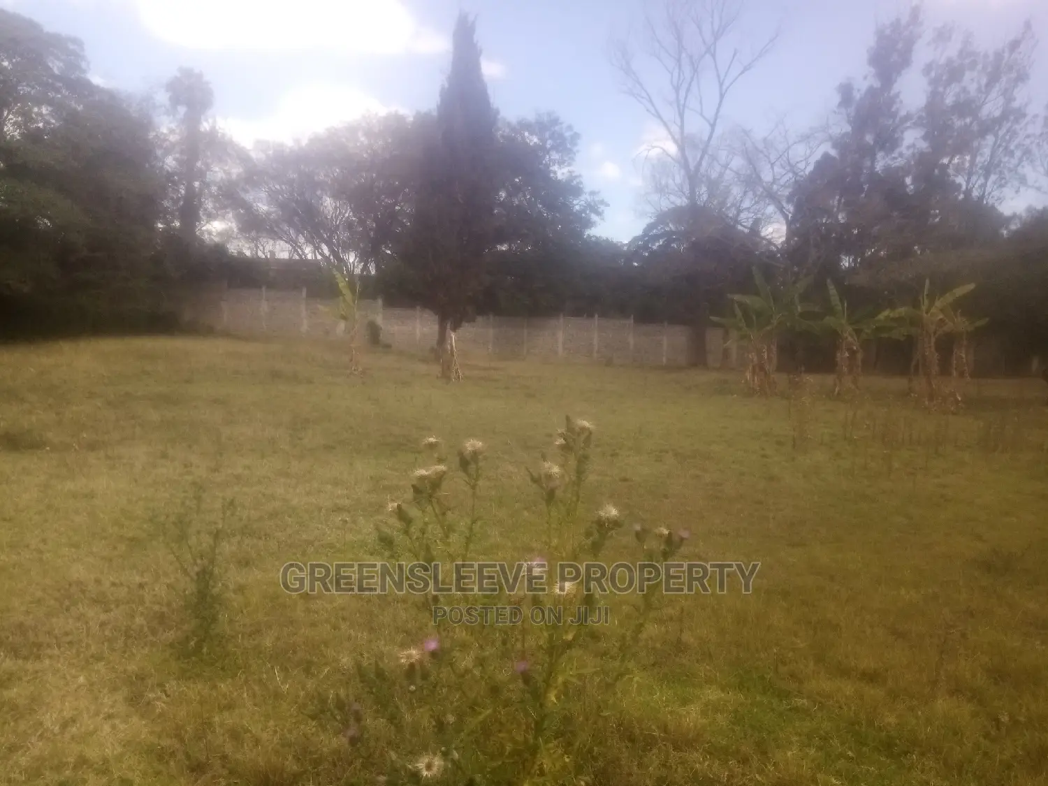 Half Acre for Sell