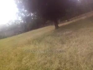 Half Acre for Sell